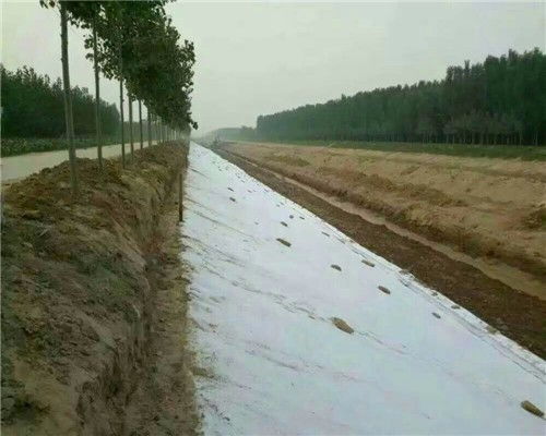 黃南300g護(hù)坡防水土工布 優(yōu)質(zhì)防護(hù)，當(dāng)日發(fā)貨，歡迎選購與格柵搭配使用